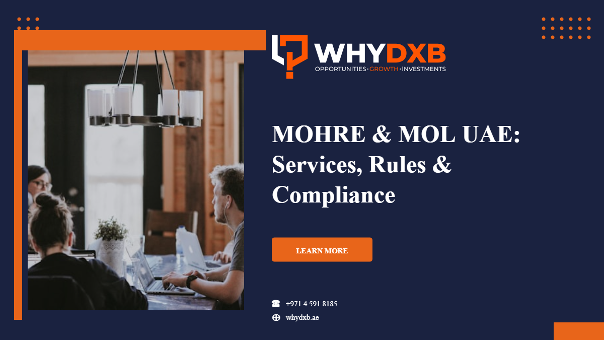 MOHRE and MOL services explained: enquiries, labour contracts and ILOE