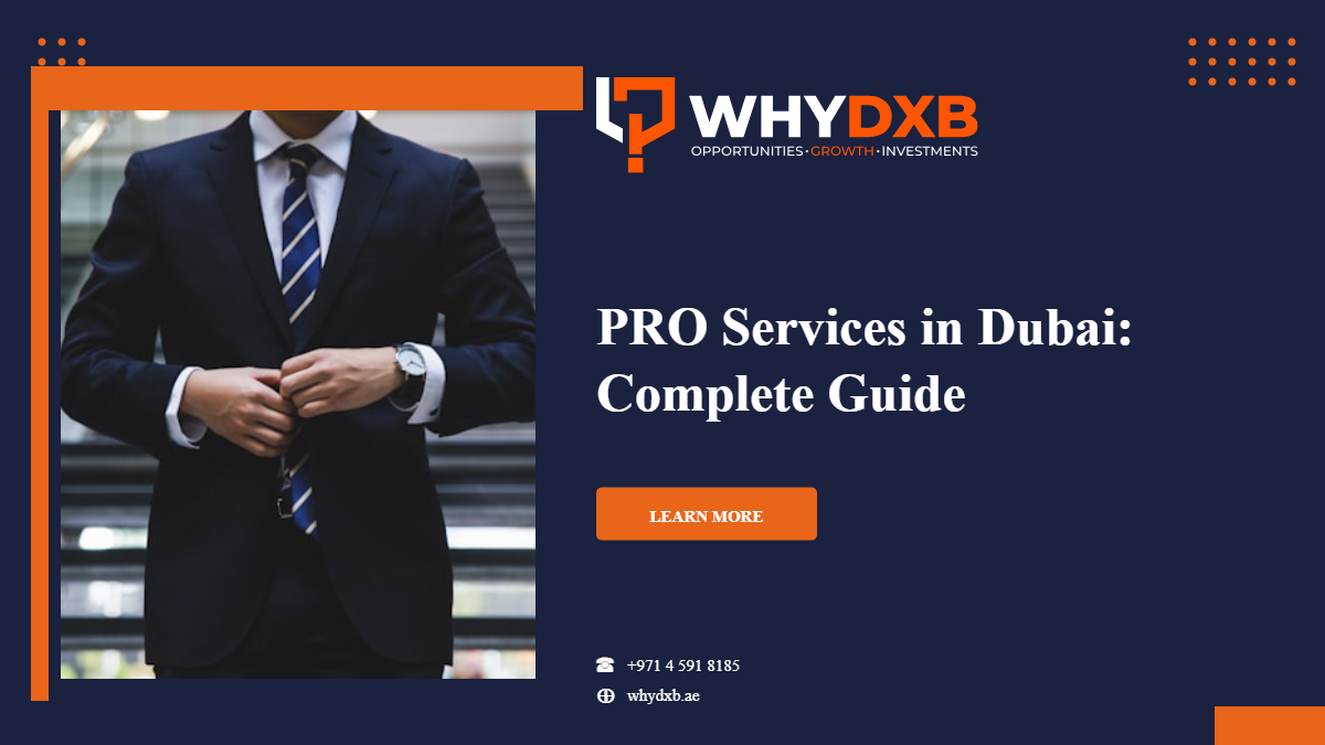 PRO services and UAE government portals: ICA, DED, DM and customs